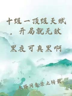 十级一顶级天赋，开局就无敌